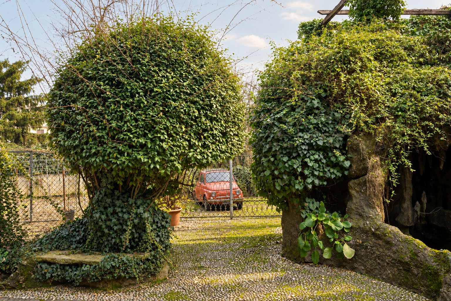 Le topiarie del giardino