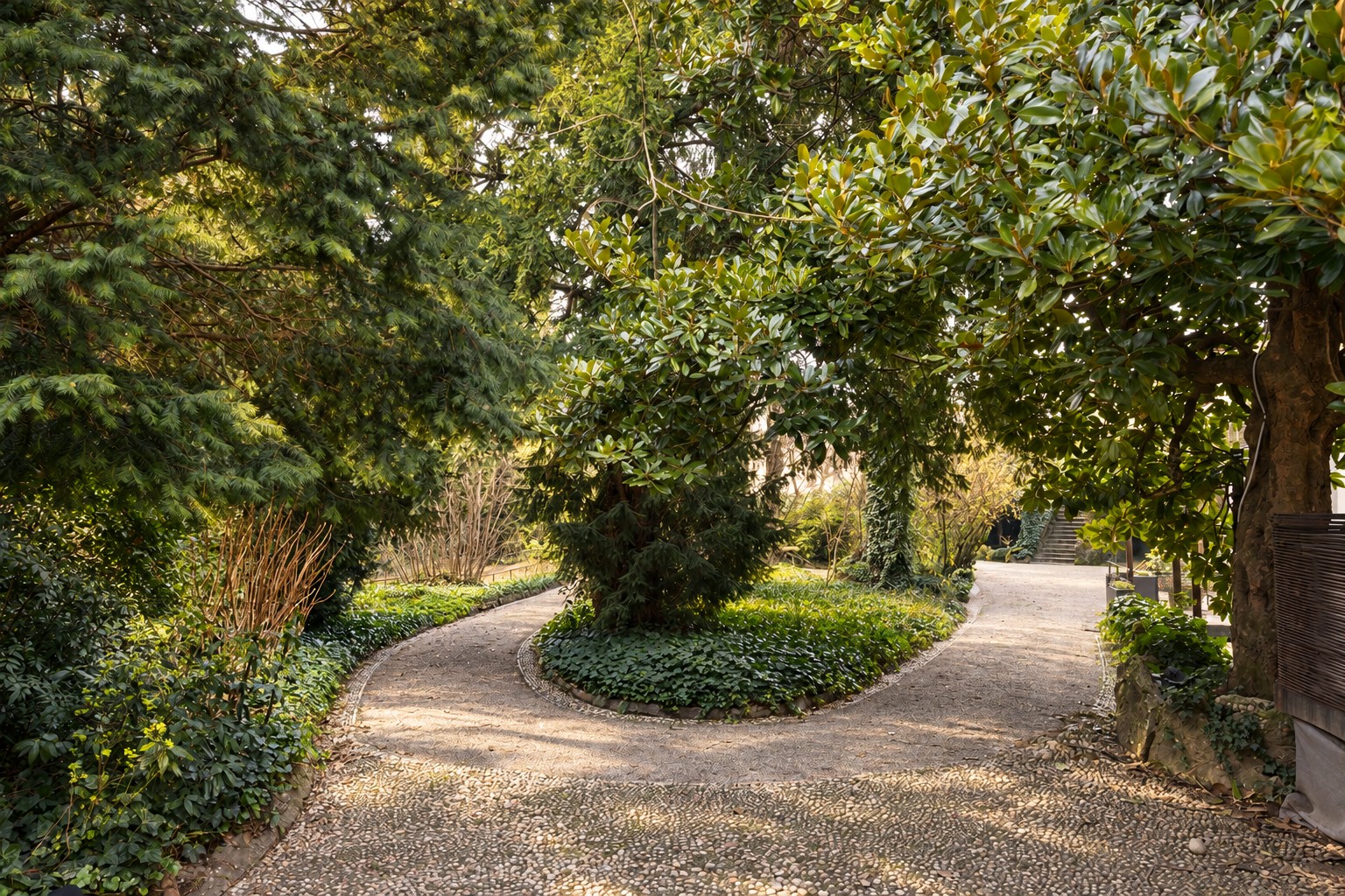Il vialetto tra gli alberi del parco